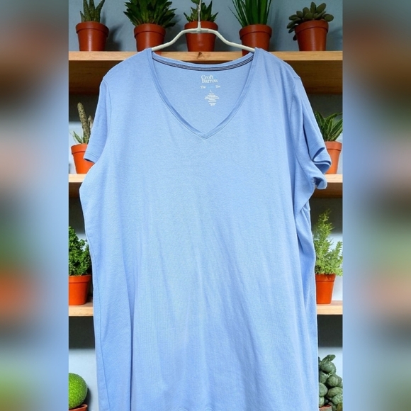 Croft and Barrow Essential V-Neck Women's T-shirt Size Large (EUC) - Picture 3 of 8